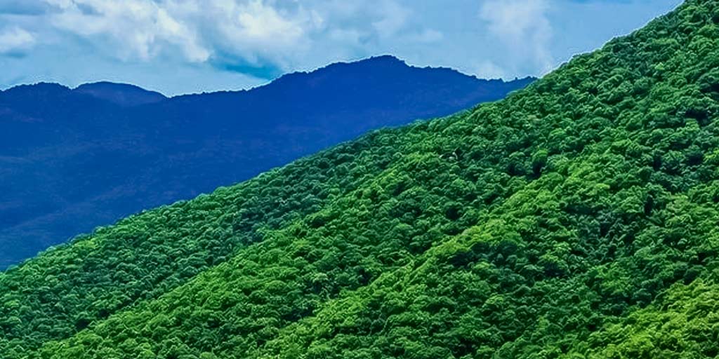 Pachamalai Hills Nature